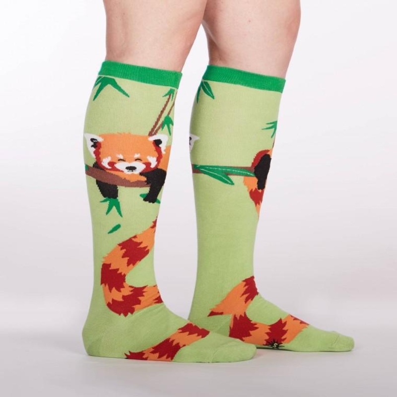 Sock It to Me Tale Of The Red Panda Adult Knee Socks