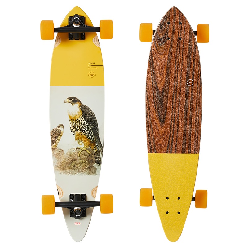 Globe Pintail Falcon 34" Complete Longboard